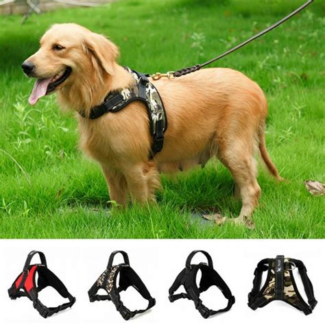 dog harnesses not made in China